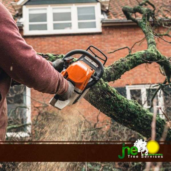 JNE Tree Services